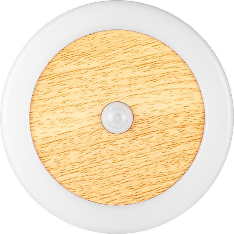 Smart Motion Sensor Light
